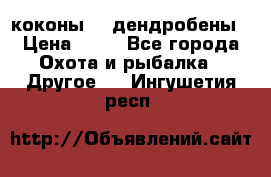 коконы    дендробены › Цена ­ 25 - Все города Охота и рыбалка » Другое   . Ингушетия респ.